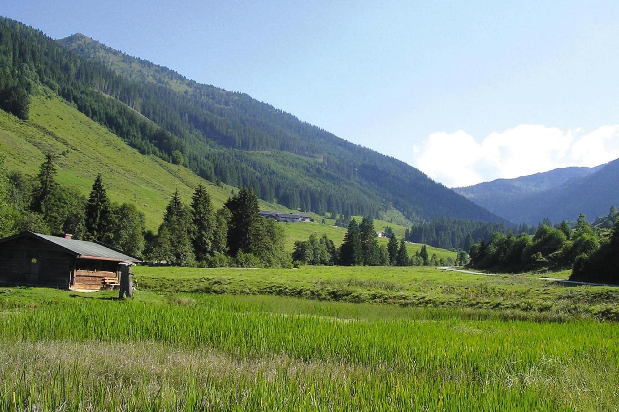 Apartments Schatzberg-Haus, Wildschoenau-เอาฟาค์ ภายนอก รูปภาพ
